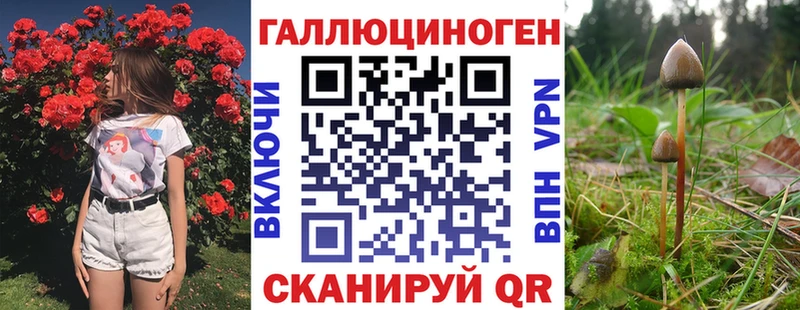 Галлюциногенные грибы MAGIC MUSHROOMS  Курлово 